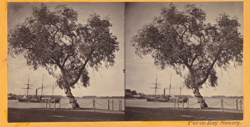 Willow Tree. Planted by Com. Perry and Other Survivors of the Battle of Lake Erie, to Mark the Burial